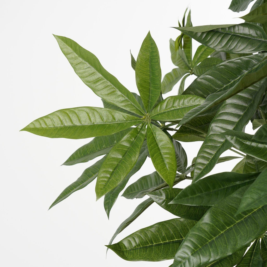 Kunstplant Pachira Groen