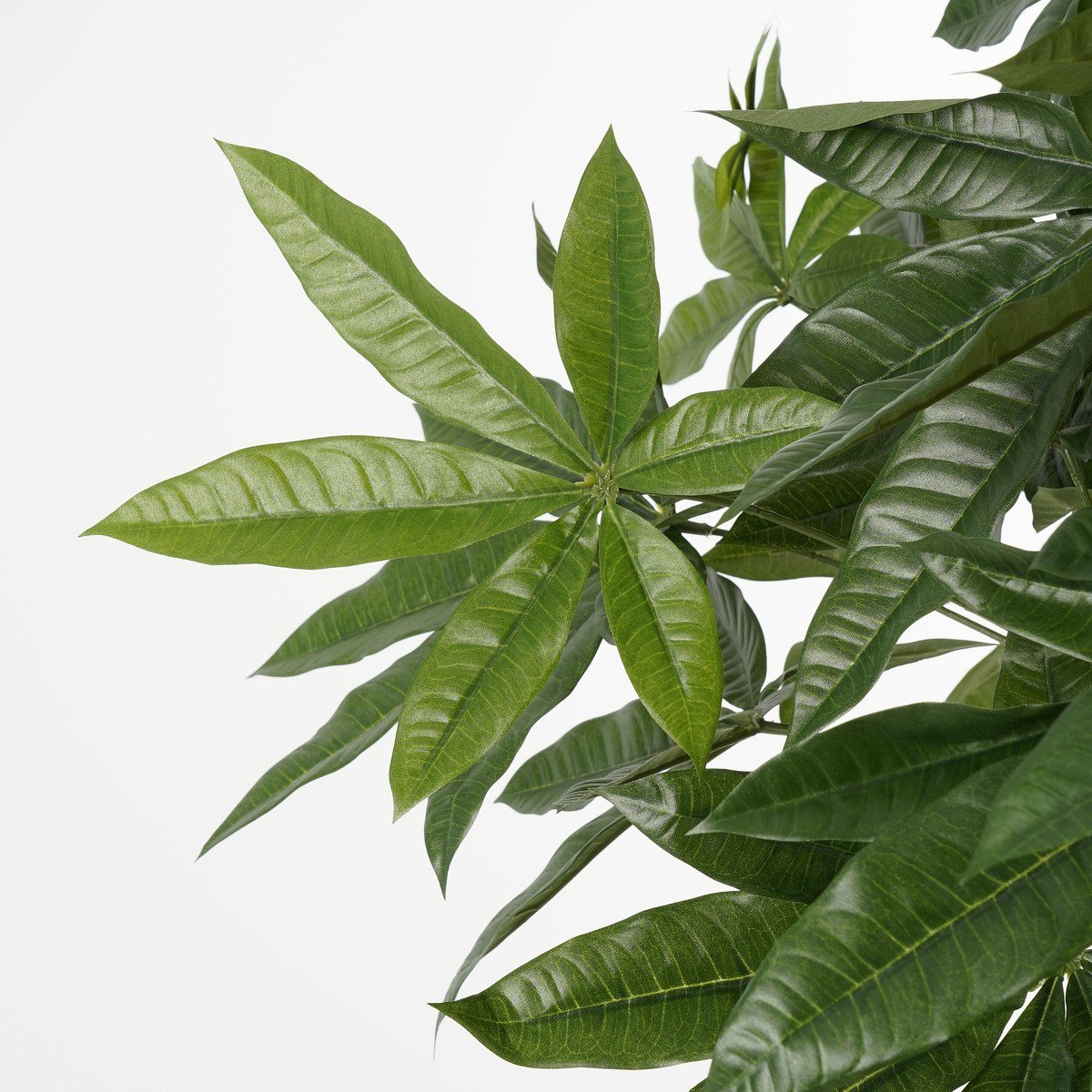 Kunstplant Pachira Groen