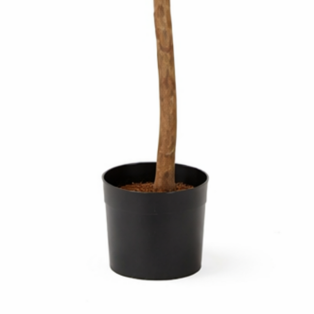 Kunstplant Ficus Triangularis Groen – 150 cm