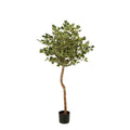 Kunstplant Ficus Triangularis Groen – 150 cm