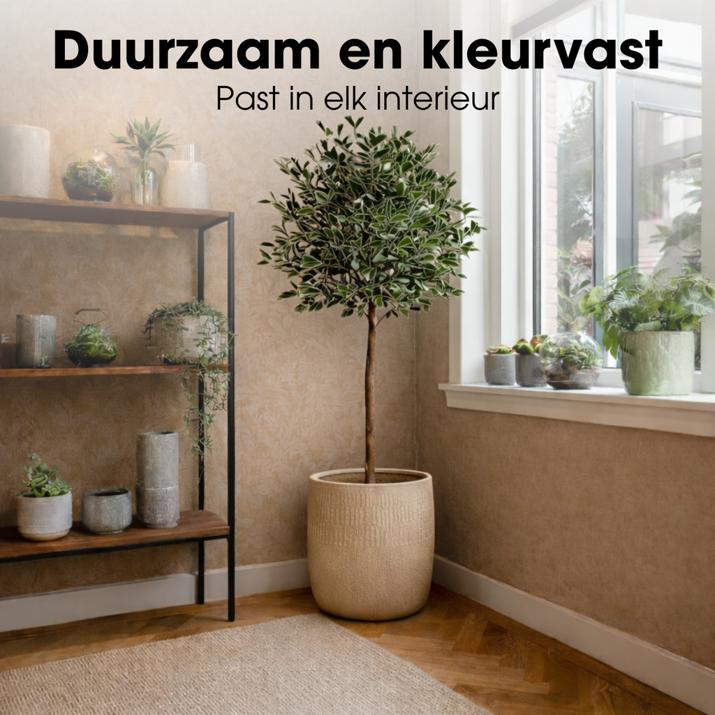 Kunstplant Ficus Triangularis Groen – 150 cm