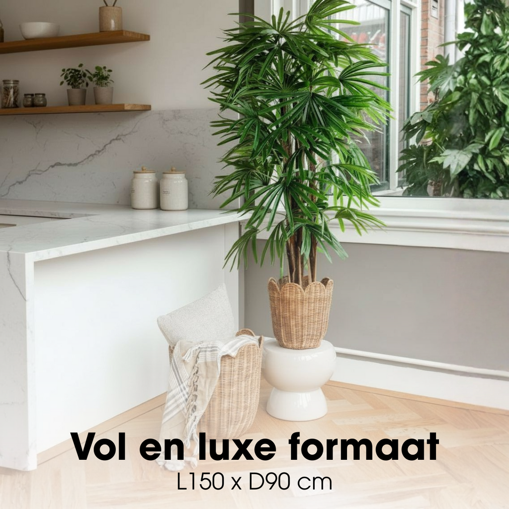 Kunstplant Raphis Palm Groen