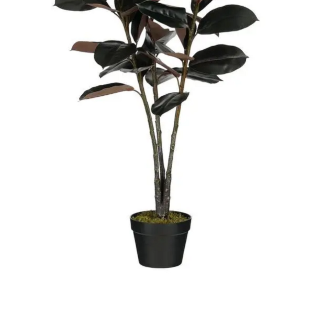 Kunstplant Rubberplant Rood