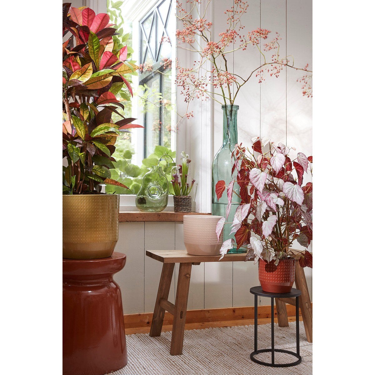 Decoratieve fles Rioja Transparant