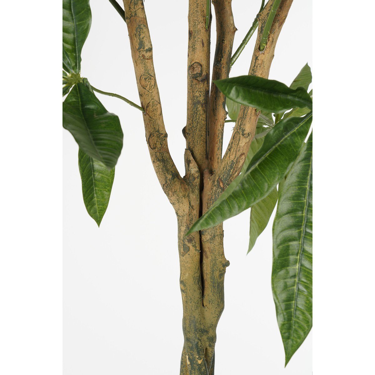 Kunstplant Pachira Groen
